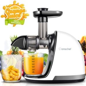 AMZCHEF Extracteur de Jus de Fruits et Légumes