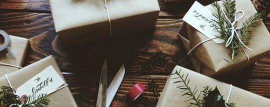 Meilleurs Cadeau Vegan pour Noel