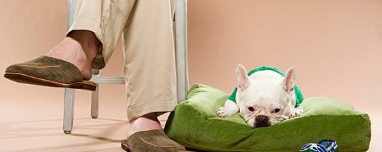 Pantoufles Et Chaussons Vegan