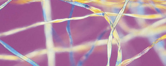 Est Ce Que Le Polyester Tient Chaud