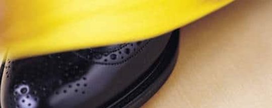 Brosses et Cireuses à Chaussure Electrique